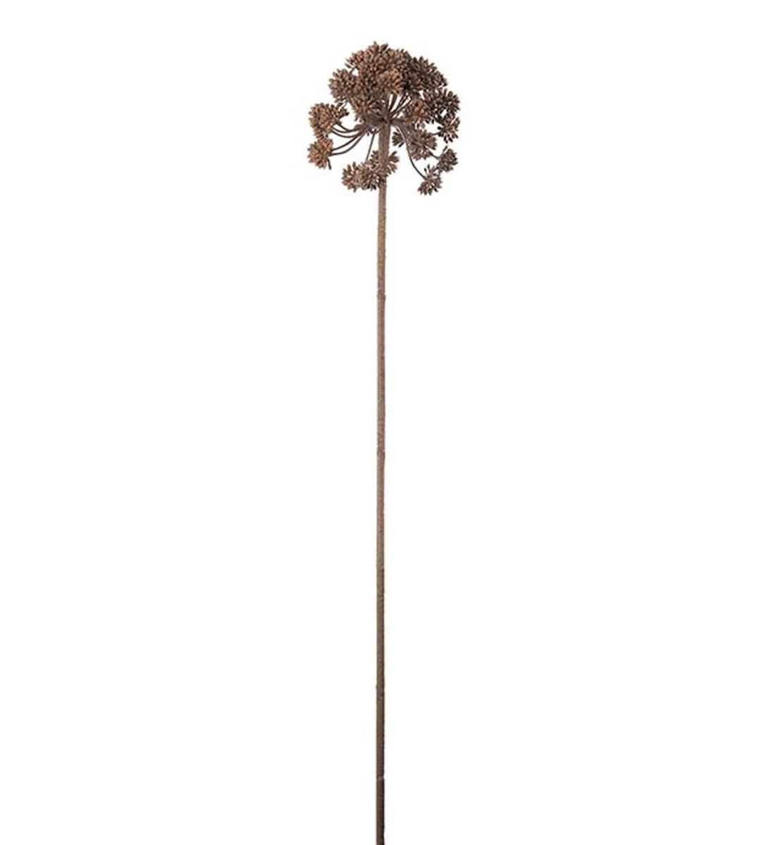 Angelica (brun 95 cm)