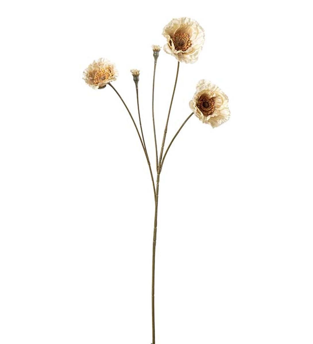 Valmue (67 cm) krem