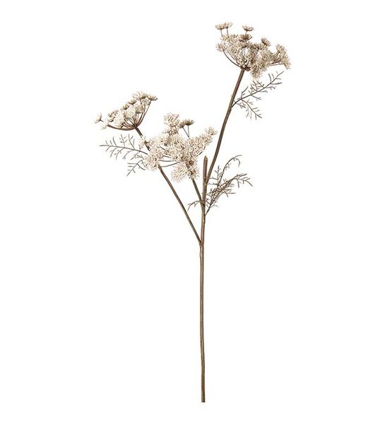 Hovedbilde Villgulrot (80 cm) krem